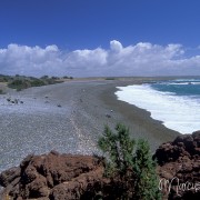 Punta Tombo