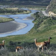 Torres del Paine