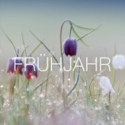 fruehjahr