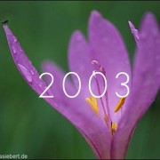 2003