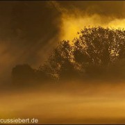 ©Sonnenaufgang an der Fulda