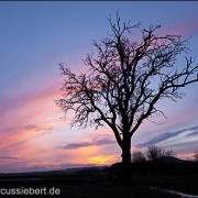 ©Sonnenuntergang im Winter