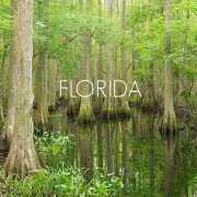 florida