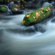 Stein in der Bode