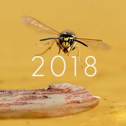 2018