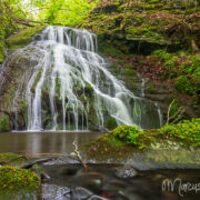 Sonderbach im Helental